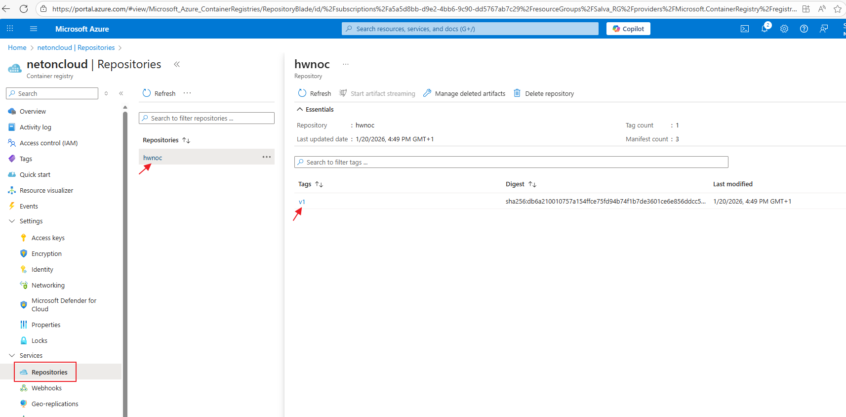 Deploying Your Docker Image to Azure: ACR and Web App Tutorial – NetOnCloud